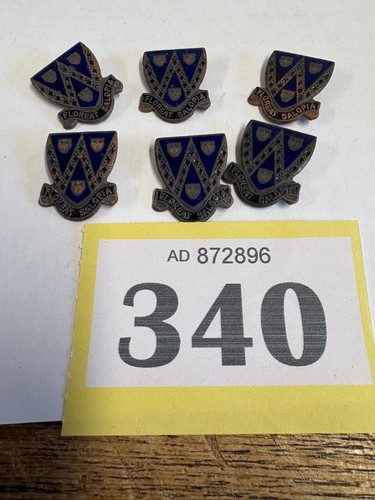 Shropshire girl guides - guides, badges