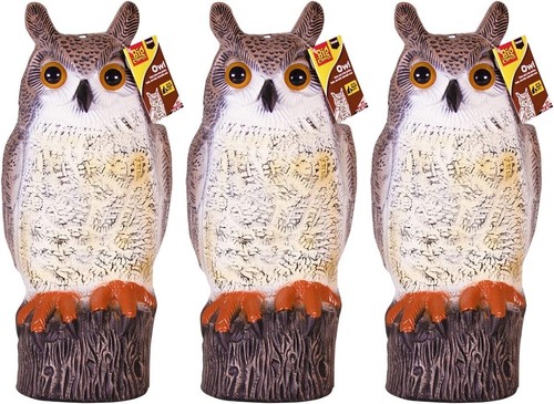The big cheese owl - the,