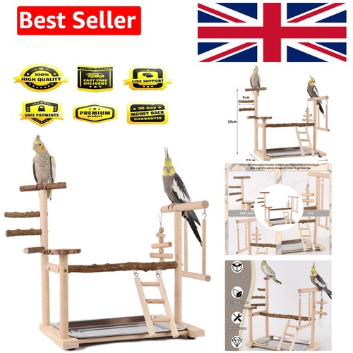 Bird playground parrot play - bird,
