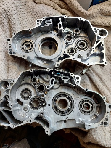 Quadzilla dinli 450 engine