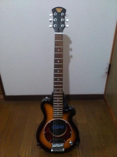 Pignose pgg 200 brown - pignose, sunburst