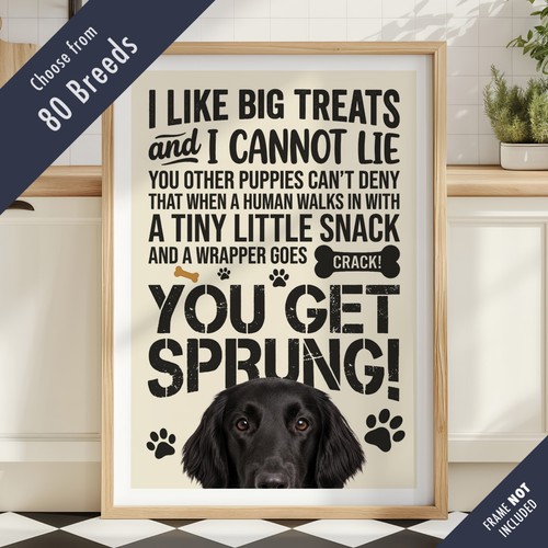 Funny dog treats lyric - dog, quote
