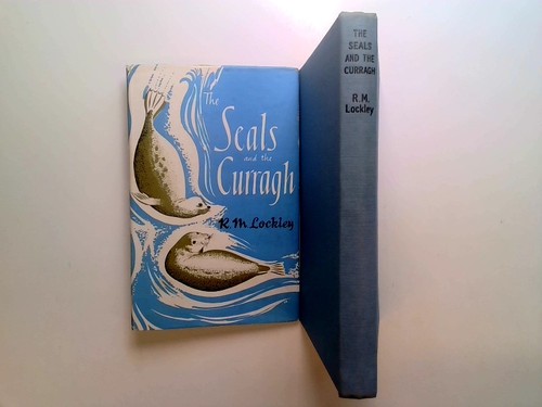 The seals and - the, curragh