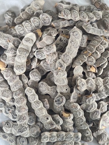 Dried bagaruwa - pods), |