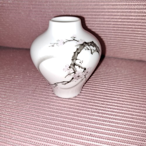 Japanese okura bud - bud, 3"