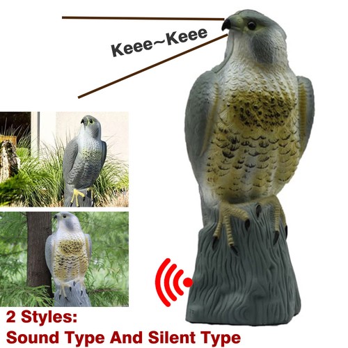 Decoy falcon hawk deterrent - hawk,
