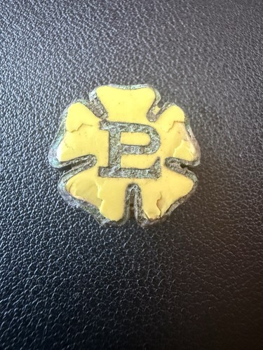 Antique primrose league pin - primrose,