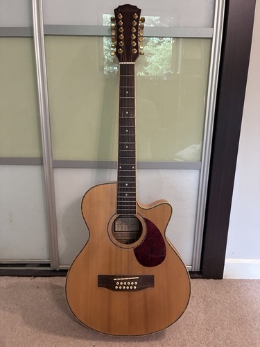 Freshman string acoustic - freshman, 12-string