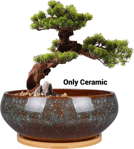 Bonsai planter pot 8in - 8in, ceramic
