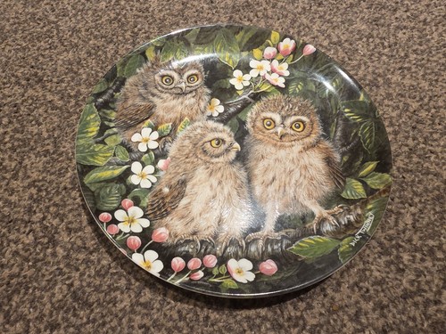 Wedgwood collectors plate - collectors,