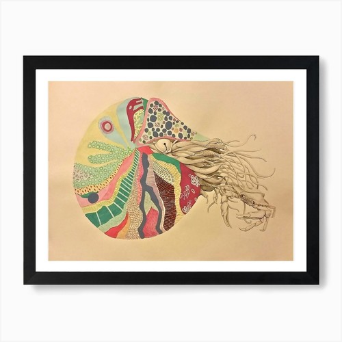 Nautilus art print framed wall - framed,