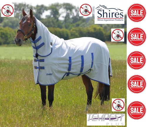 Shires tempest plus - sweet, itch