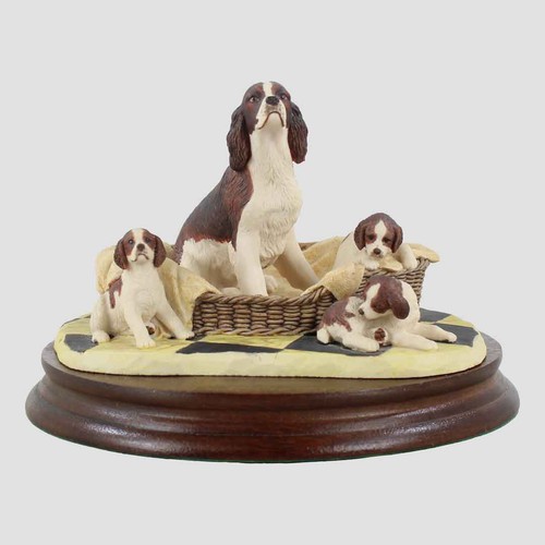 Springer spaniel and pups - spaniel,