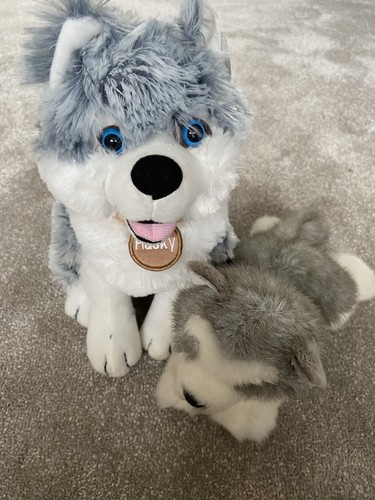Husky soft toy bundle - bundle, 2