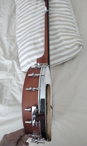Epiphone 100 string banjo - mb, 5