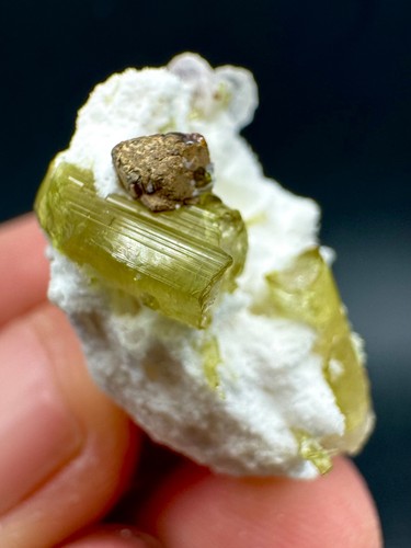 Microlite with tourmaline - with,