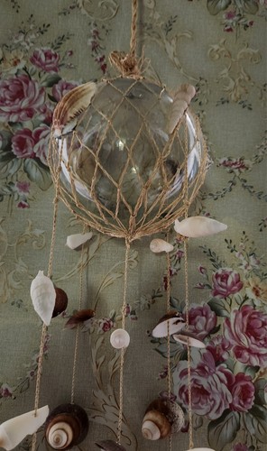 Hanging sea shell - sea,