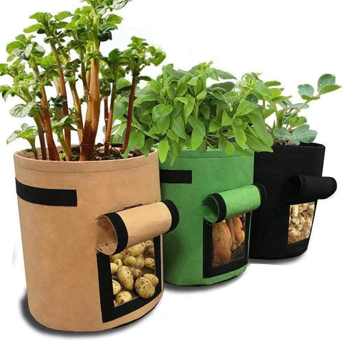 3pk gallon planting grow - 3pk,