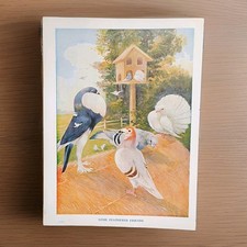 Antique 1910 show - 1910, pigeons