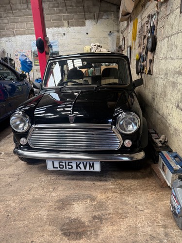 Rover mini - rover,