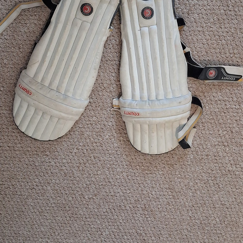 Hunts county mettle cricket - hunts,