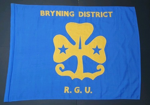 Vintage girl guides bryning - vintage,
