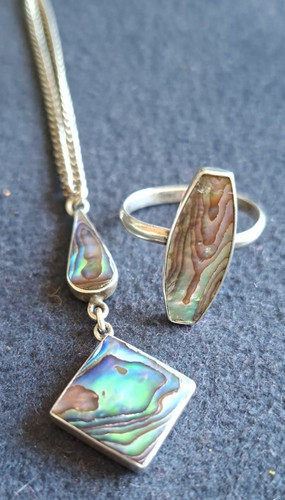 Abalone shell - abalone, shell)