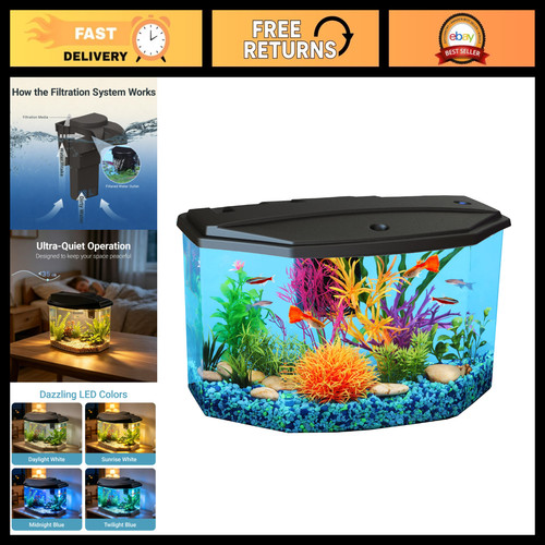 Gallon aquarium starter - aquarium, kit