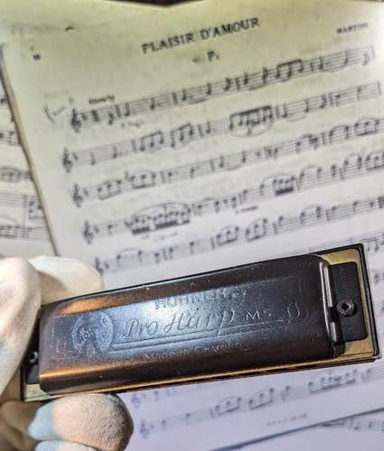 Vintage hohner pro - vintage,