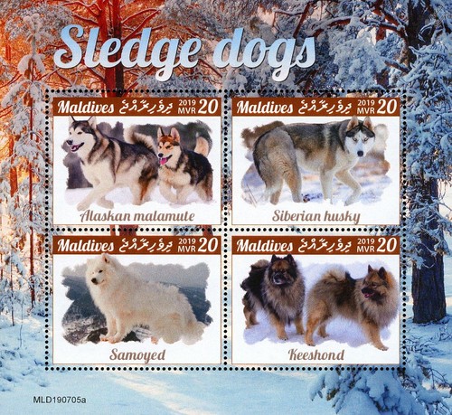 Sled dogs - sled,