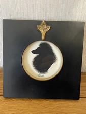 Michael pierce poodle - michael,