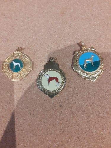 Vintage whippet racing - , 3