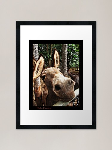 Hello donkey framed - hello, art