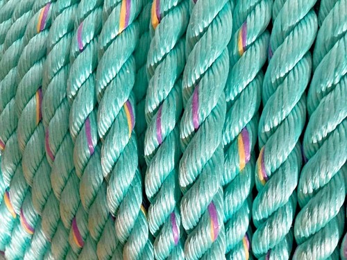 24mm high tenacity seaclas - 24mm,