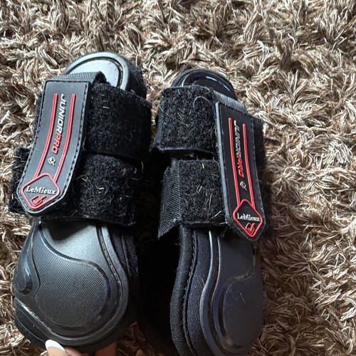 Lemieux junior pro - xs, pony