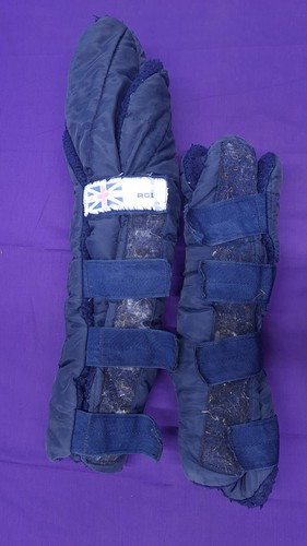 Pony size rci - pony, blue