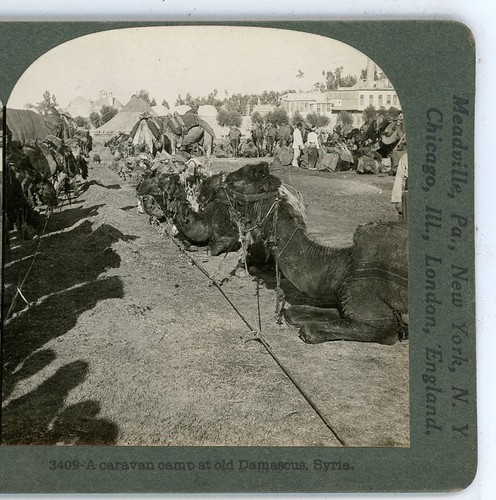 Caravan camp old damascus - caravan,