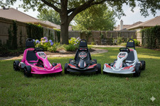 New Predatour 12V Electric