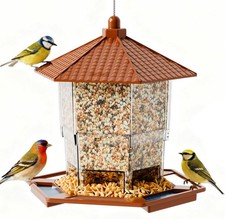 Hanging Bird Feeder for