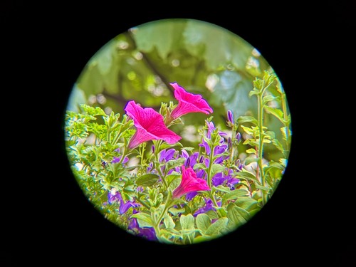 Nikon sport lite - nikon, binoculars