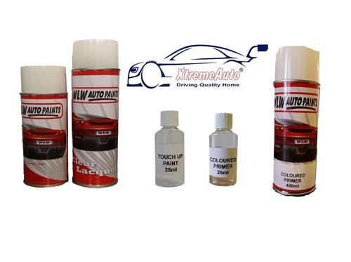 Touch paint aerosol spray - up,
