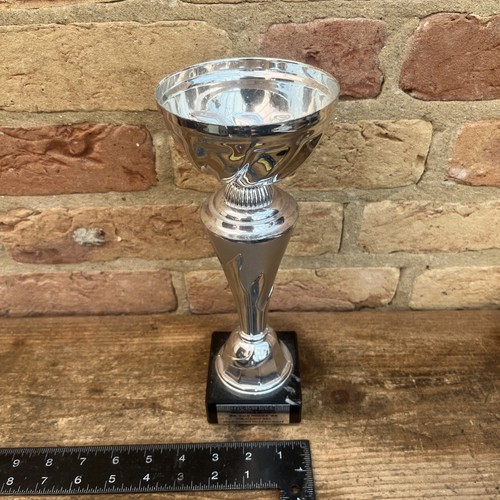 Silver coloured metal trophy - metal,
