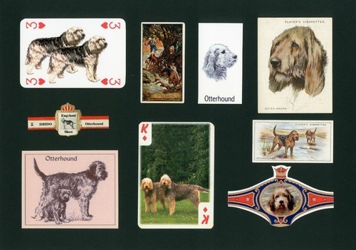Otterhound mounted set - mounted,