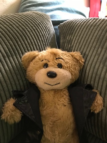 Bad taste bears streaker bear