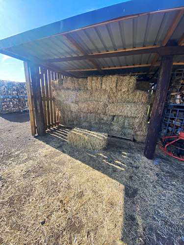 Small square hay - small,