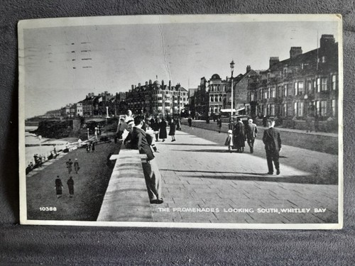Whitley bay promenade looking - promenade,