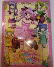 Rare!! Tokyo Mew Mew Writing