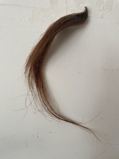 NATURAL CHESTNUT HORSE HAIR