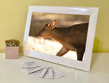 Art Print Image Picture Photo