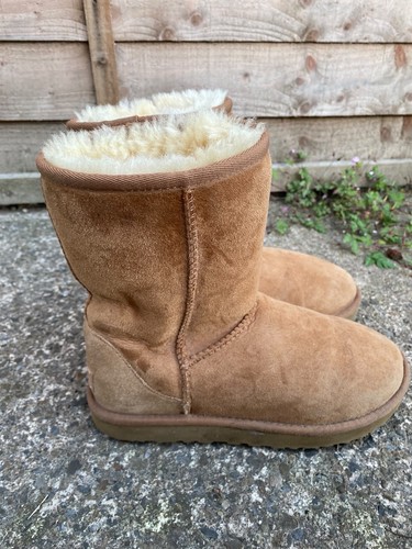 Ugg classic short boots - ugg,